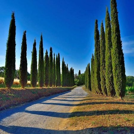 Agriturismo Boschetto Di Montiano Montiano  Bagian luar foto