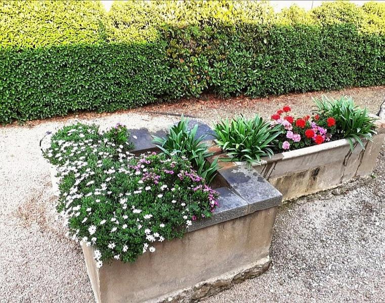 Agriturismo Boschetto Di Montiano Montiano  Bagian luar foto