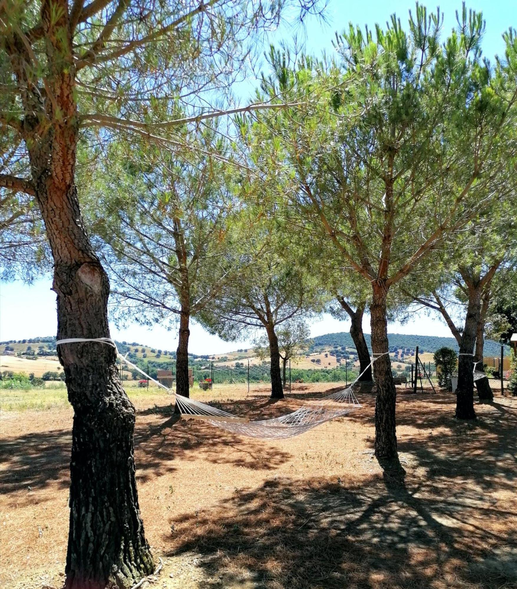 Agriturismo Boschetto Di Montiano Montiano  Ruang foto