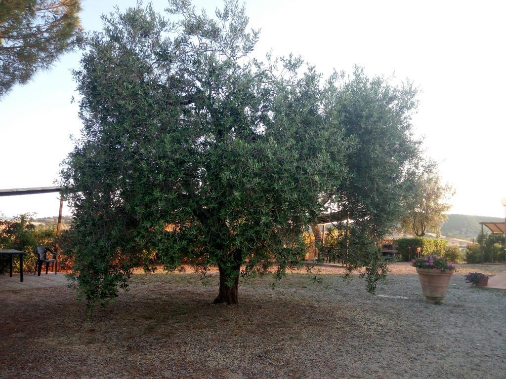 Agriturismo Boschetto Di Montiano Montiano  Bagian luar foto