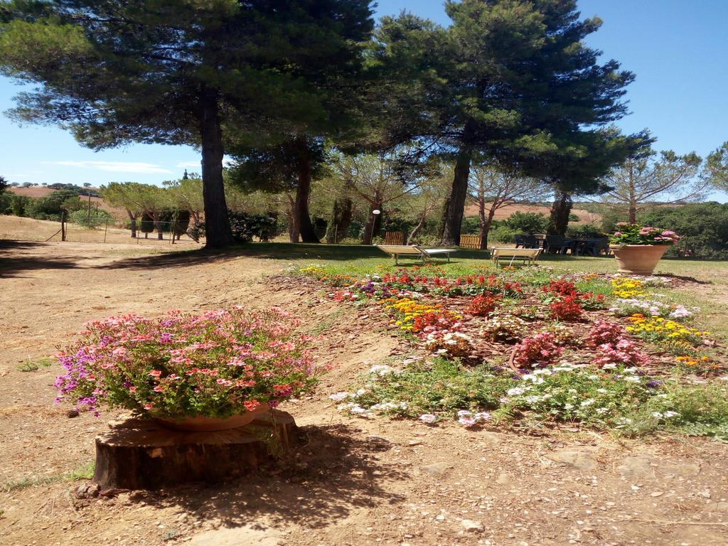 Agriturismo Boschetto Di Montiano Montiano  Bagian luar foto