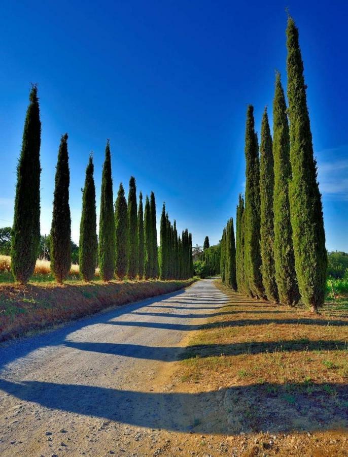 Agriturismo Boschetto Di Montiano Montiano  Bagian luar foto